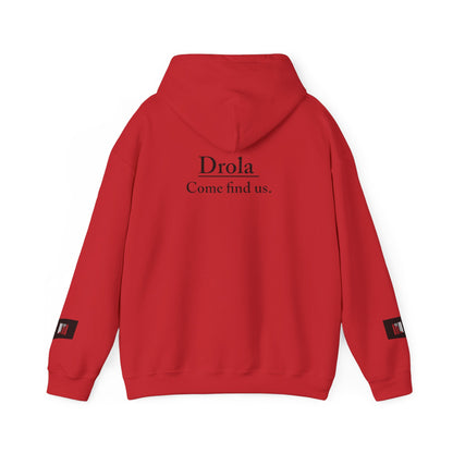 Drola Unisex Heavy Blend™ Hooded Sweatshirt